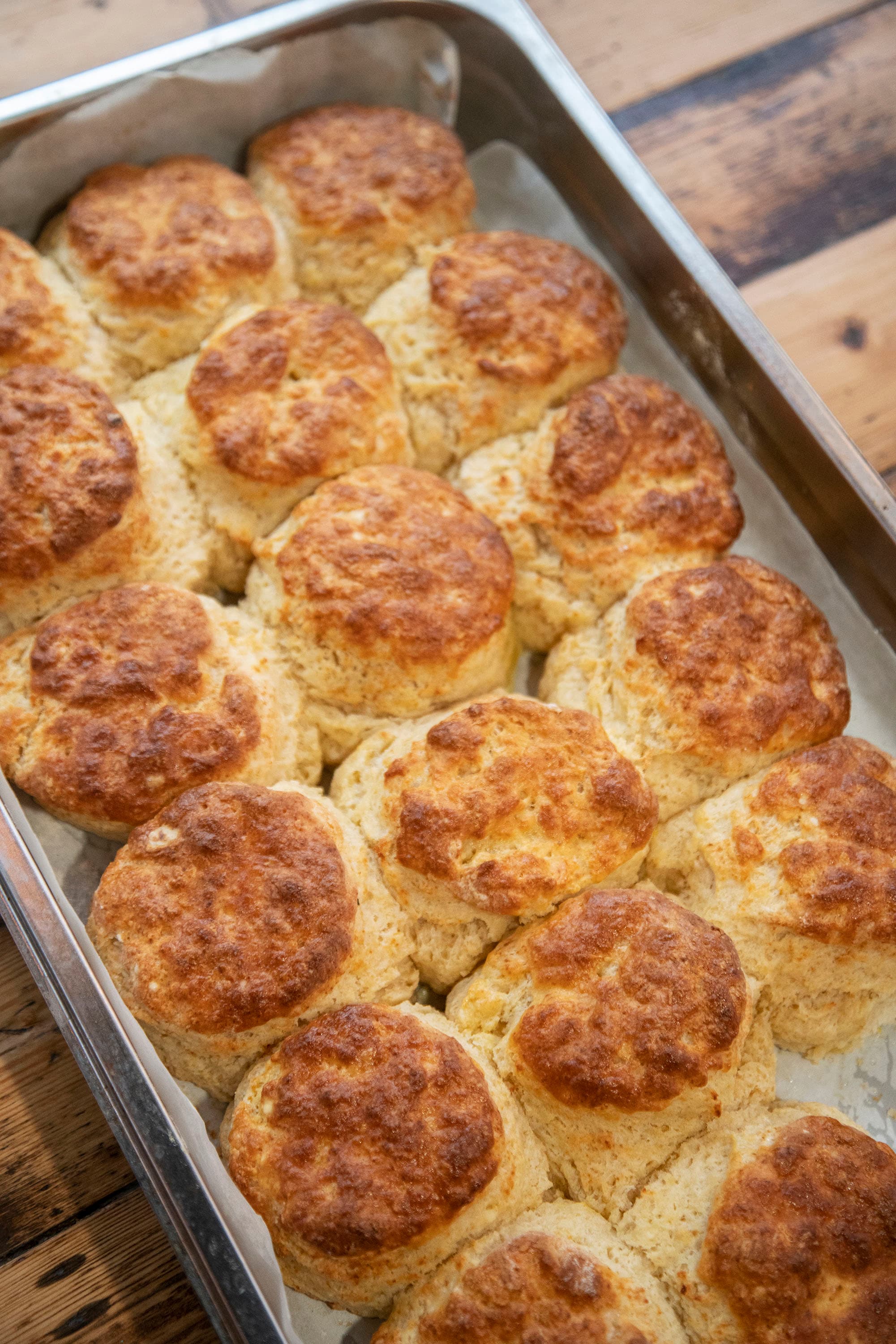 Birdmans — image 8