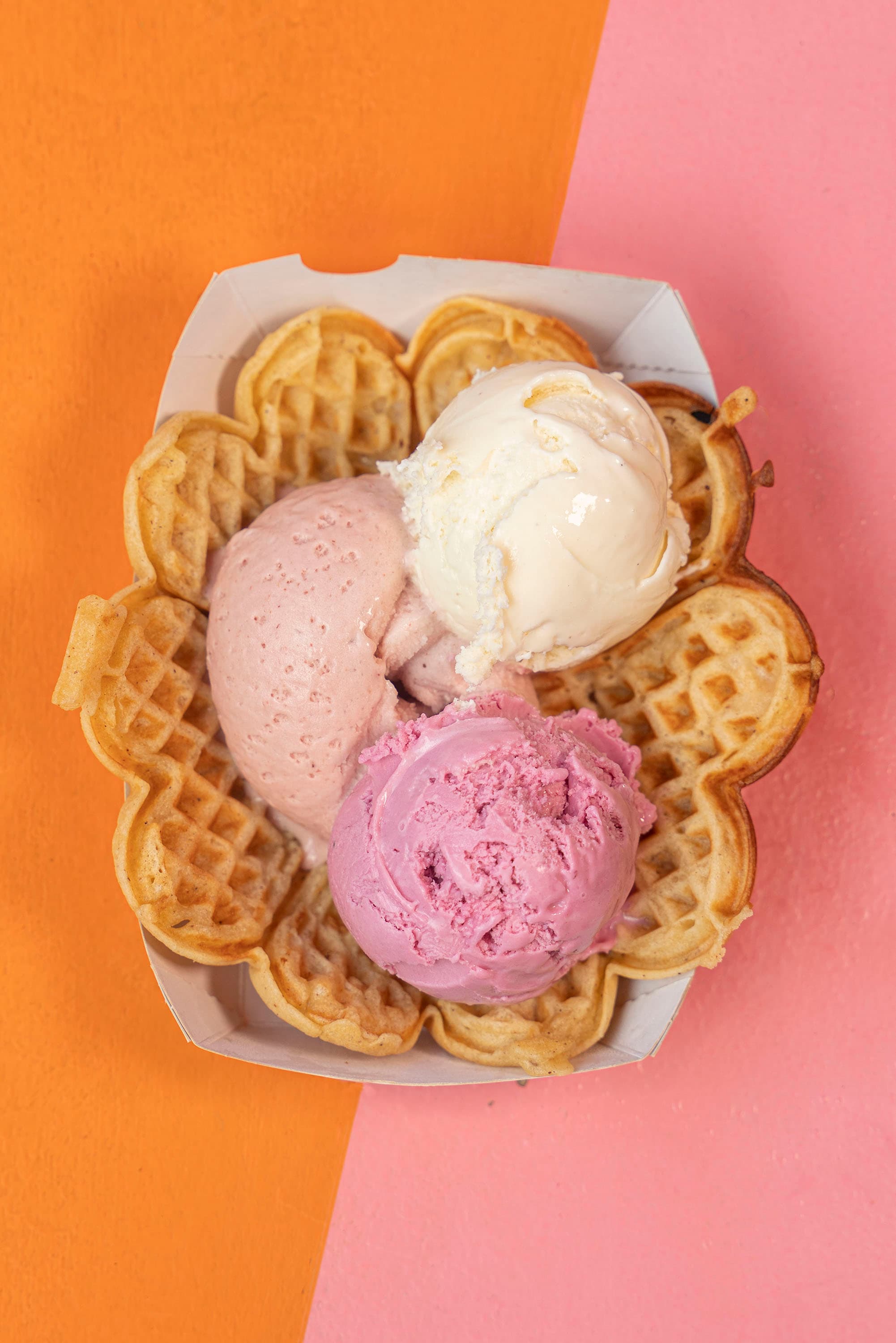 Haralds Vaffel — image 7