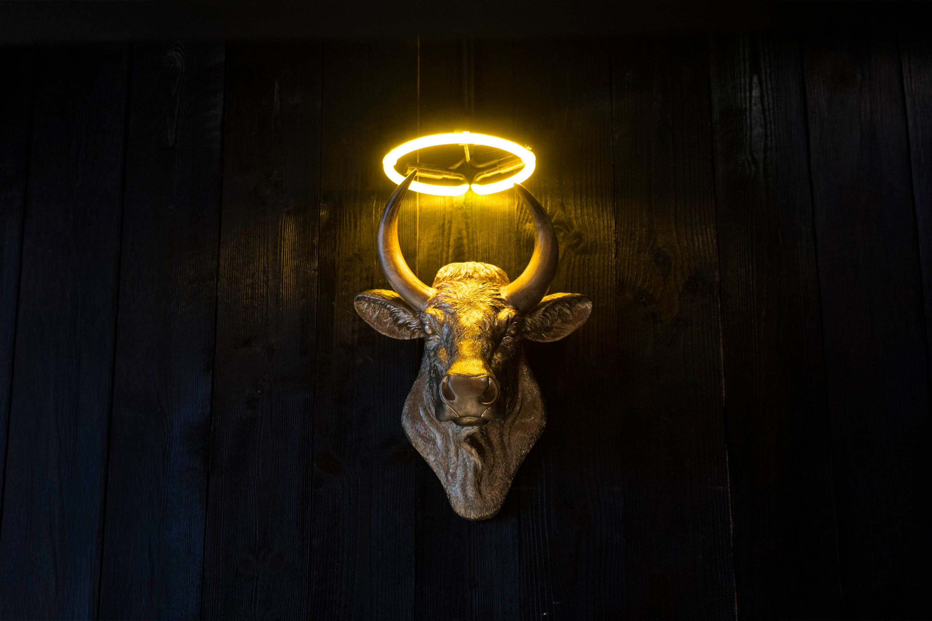 Holy Cow — image 4