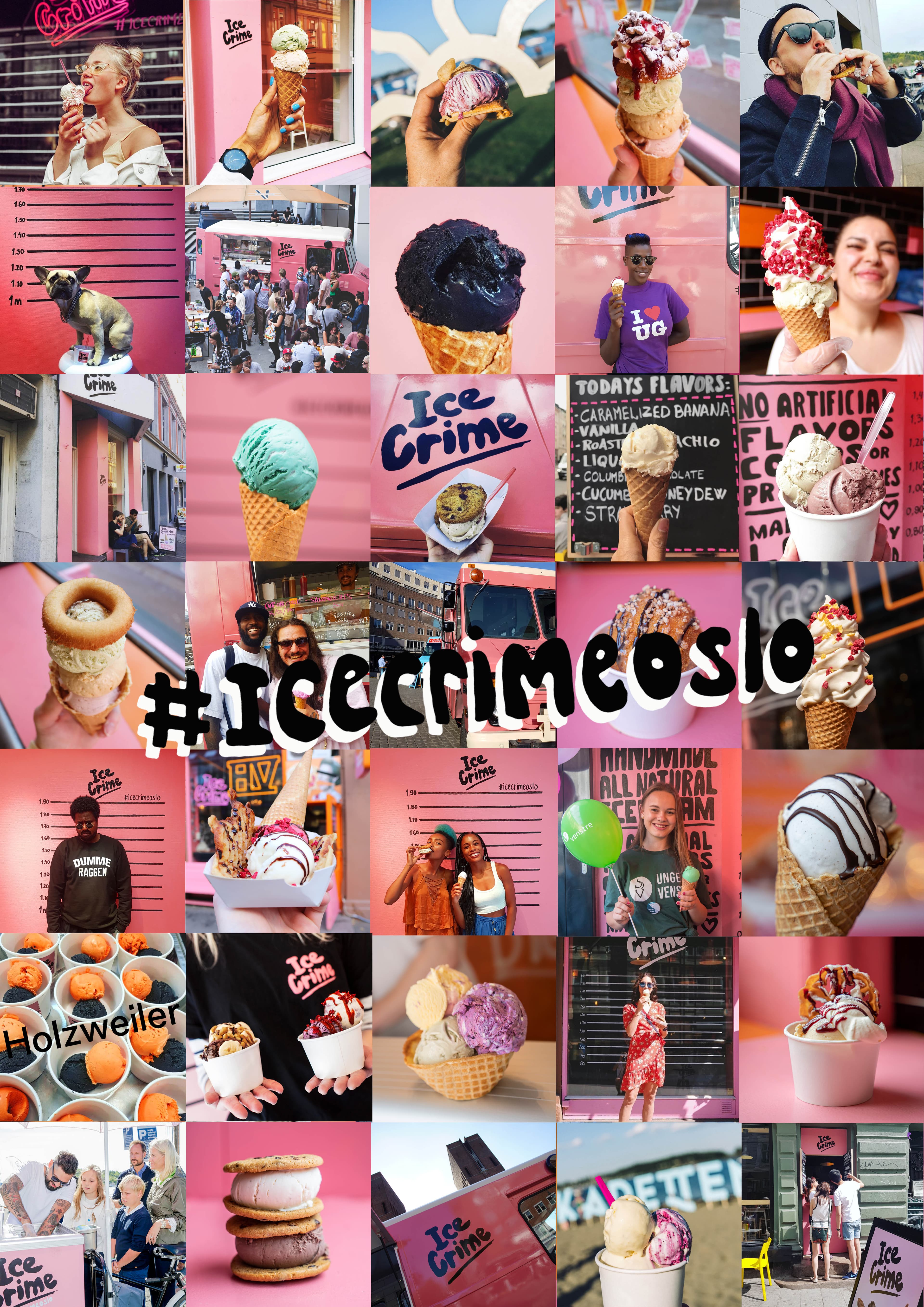 Ice Crime — image 13