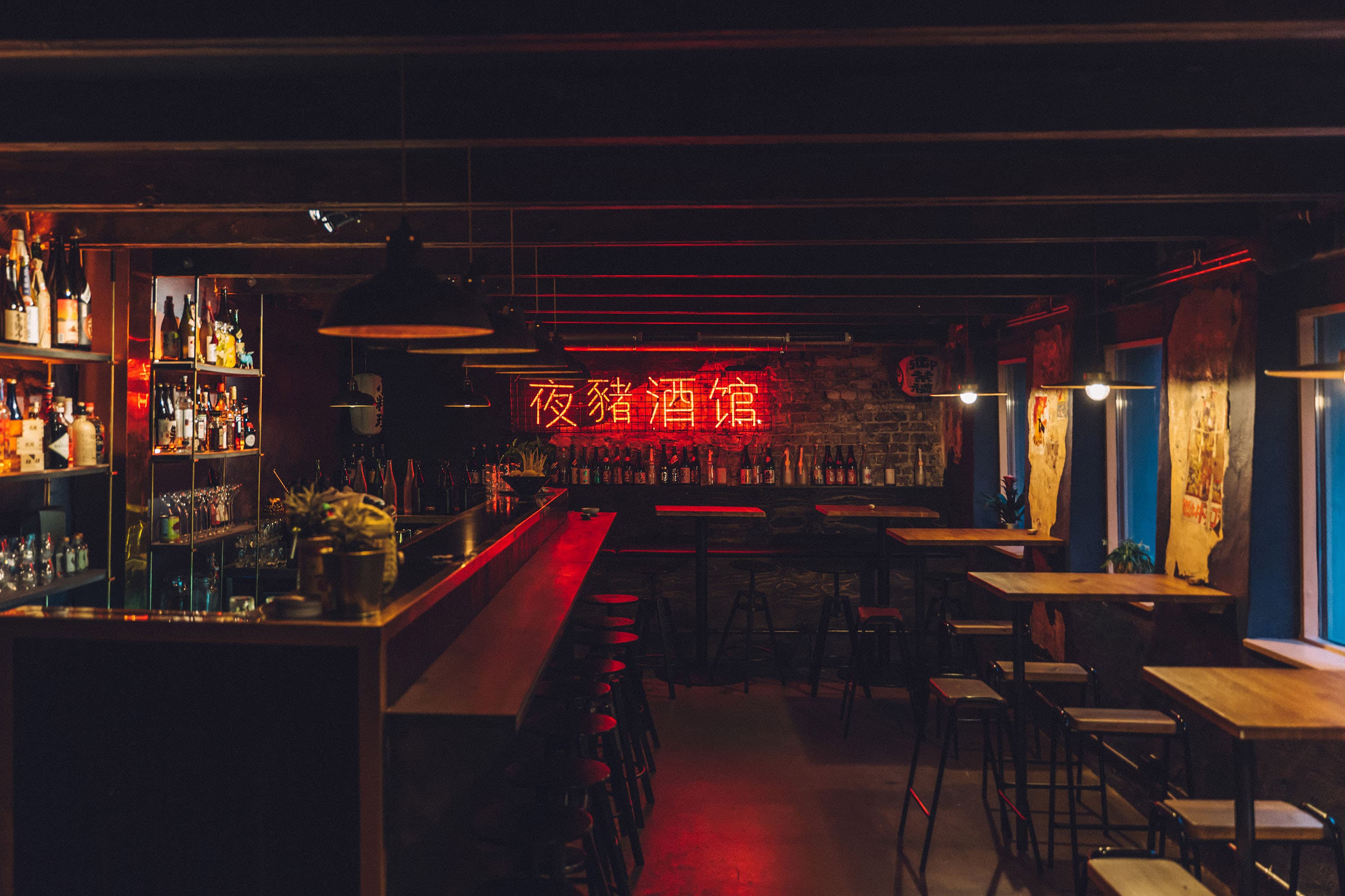 Night Pig — image 3