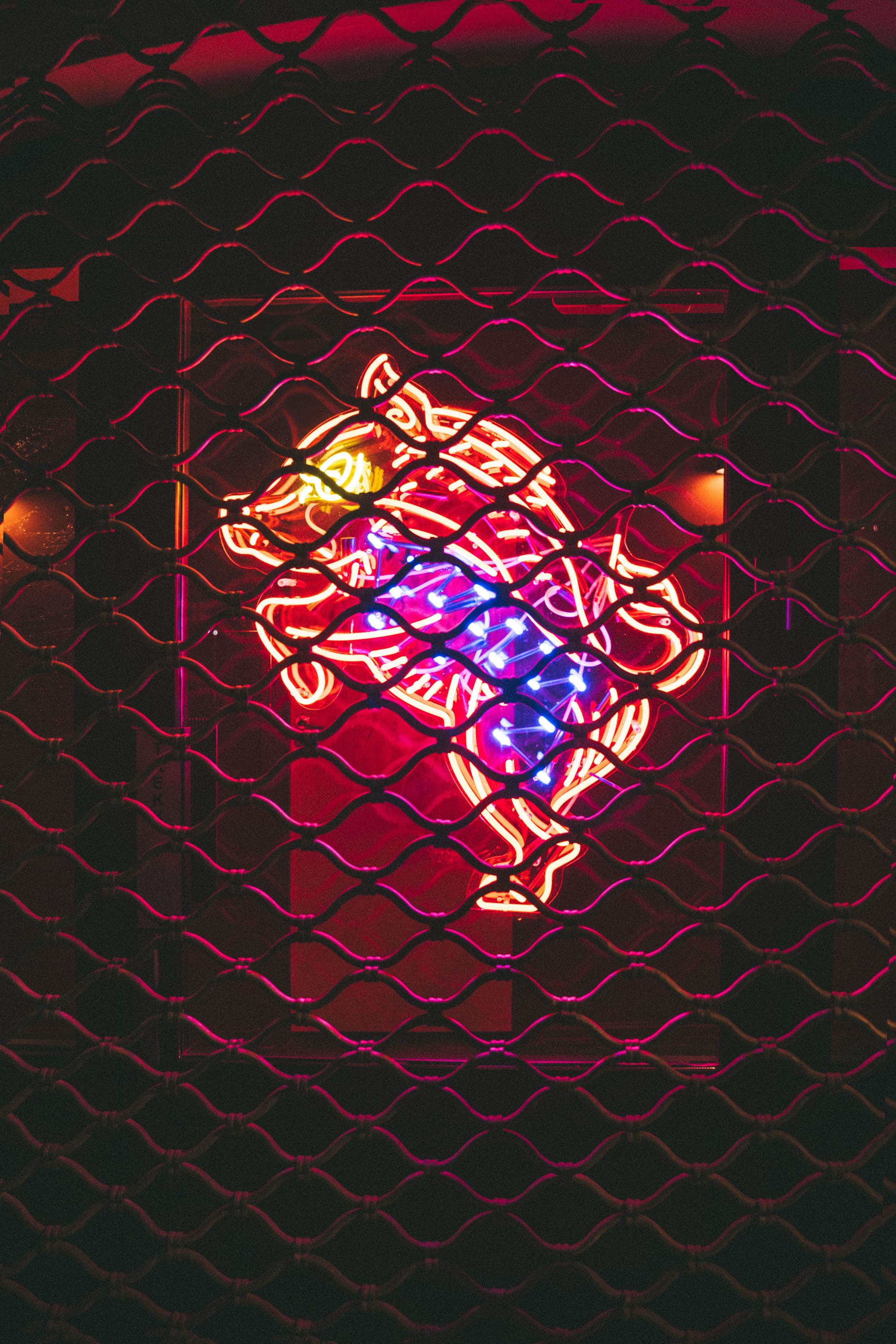 Night Pig — image 6