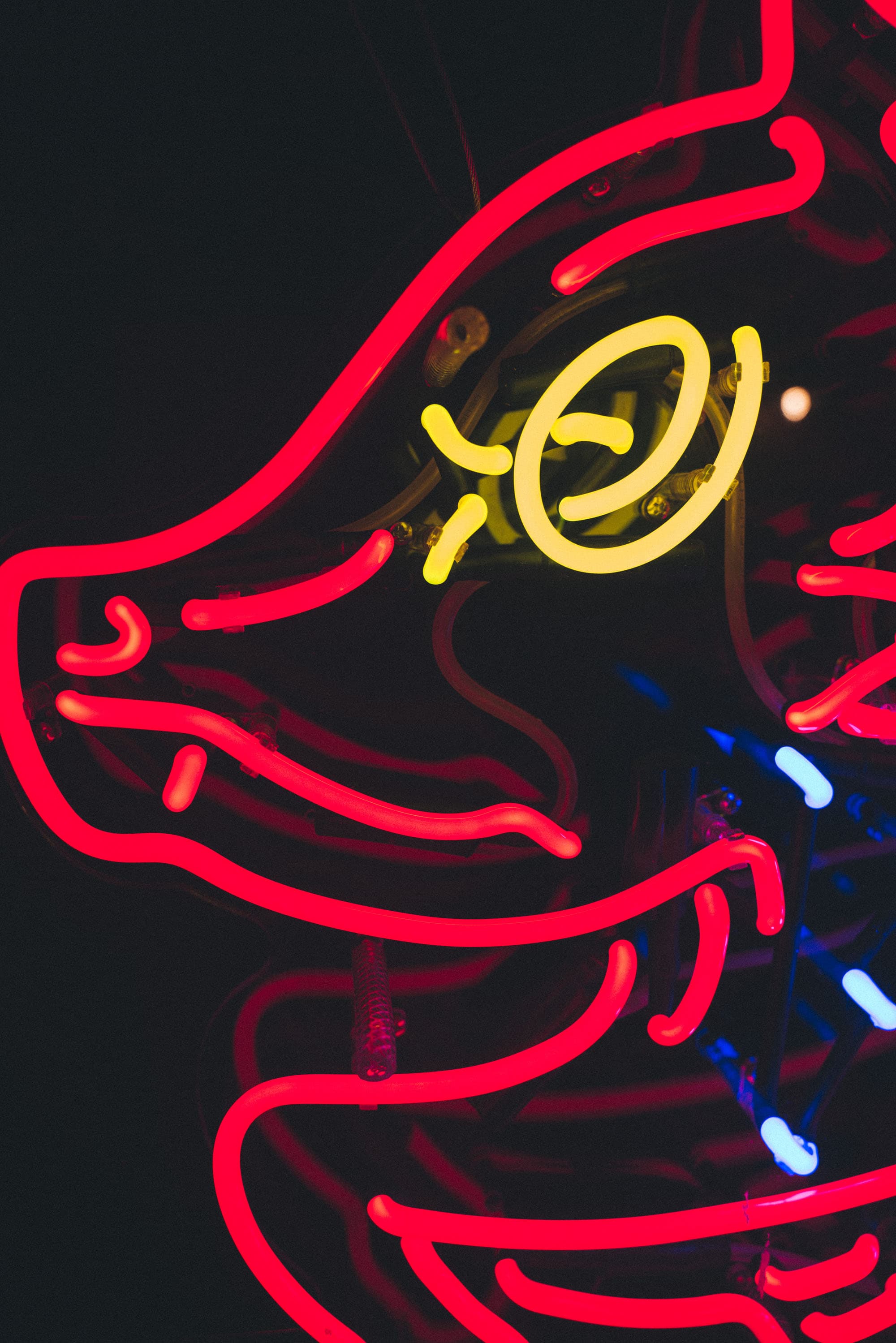 Night Pig — image 15