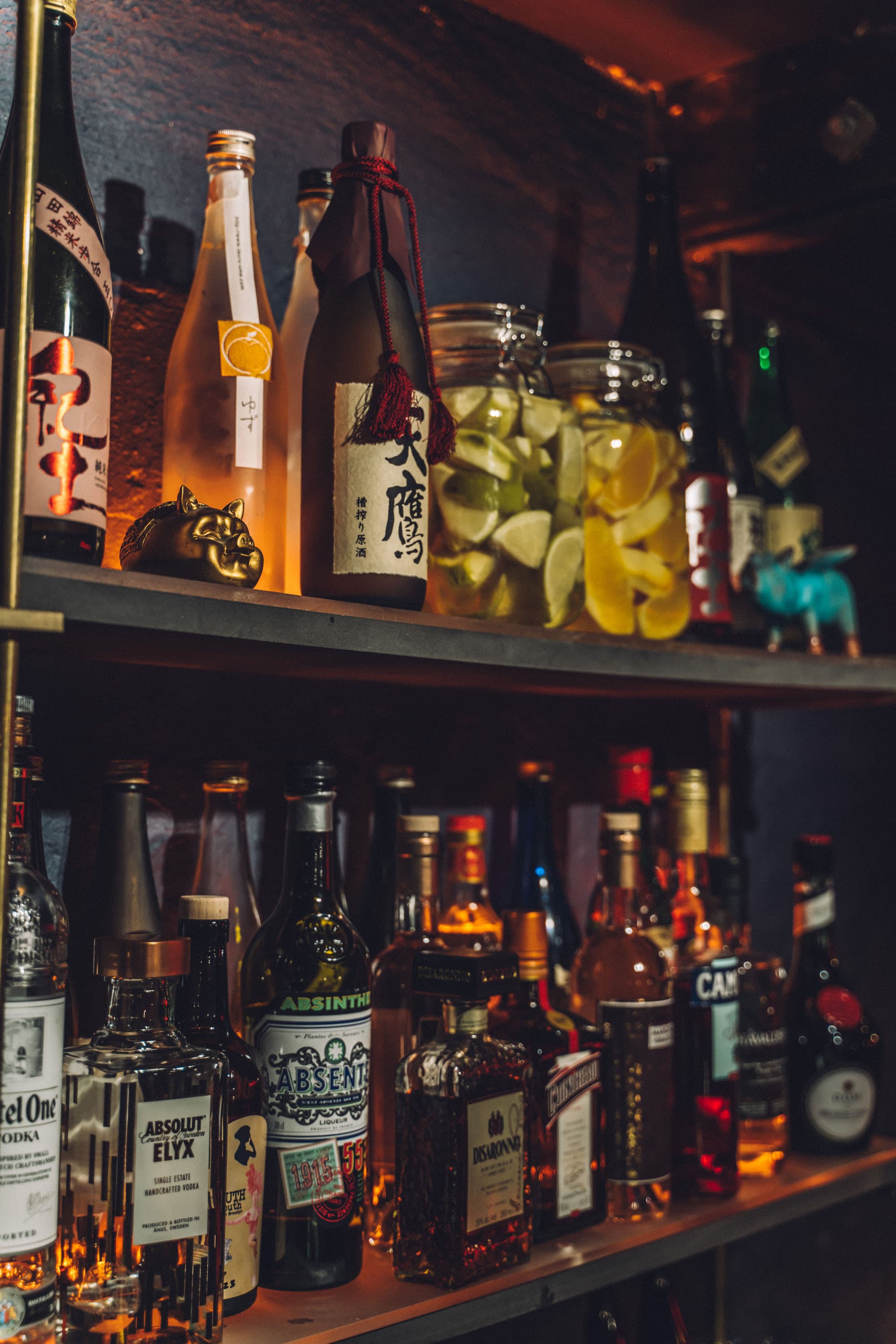 Night Pig — image 8