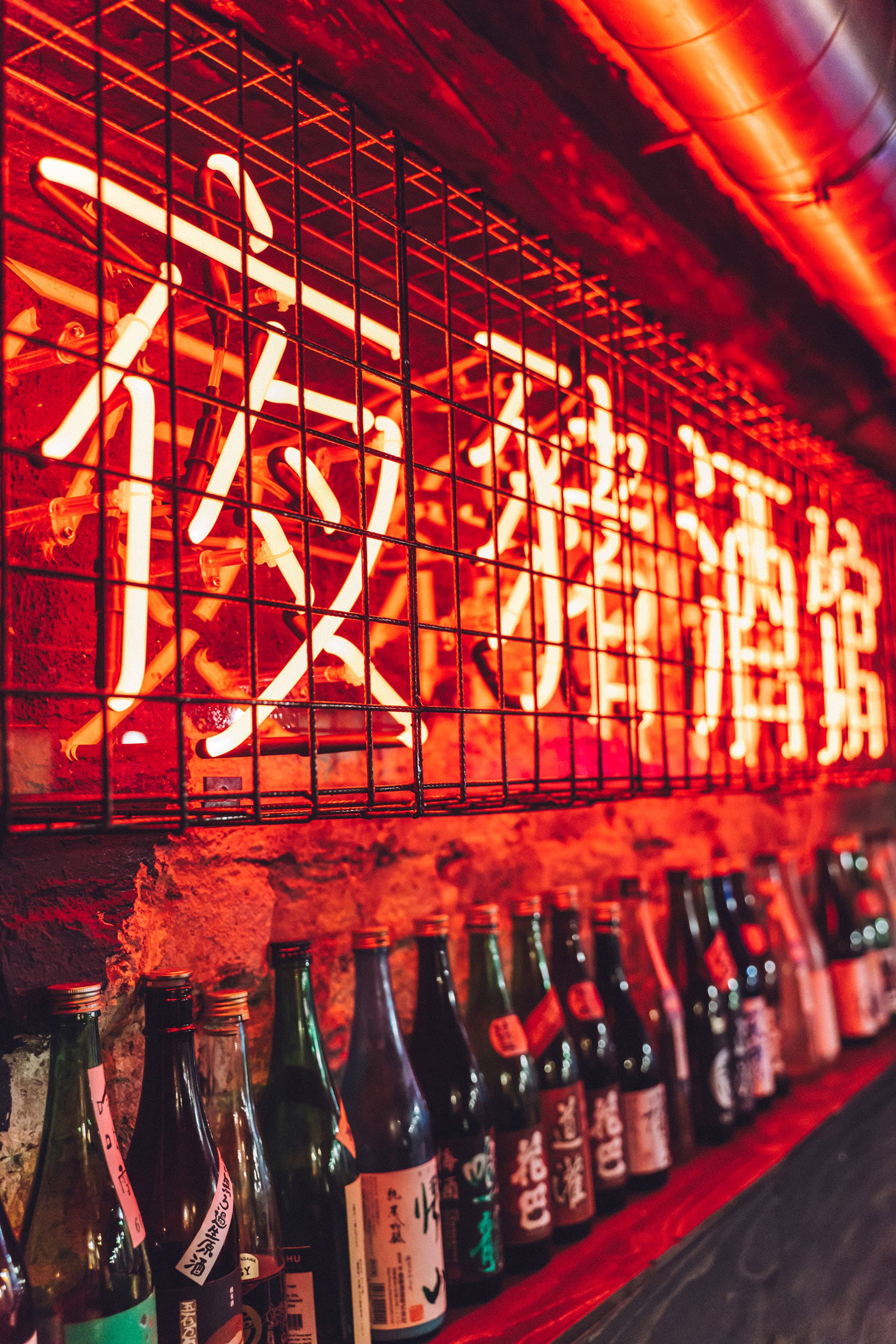 Night Pig — image 11