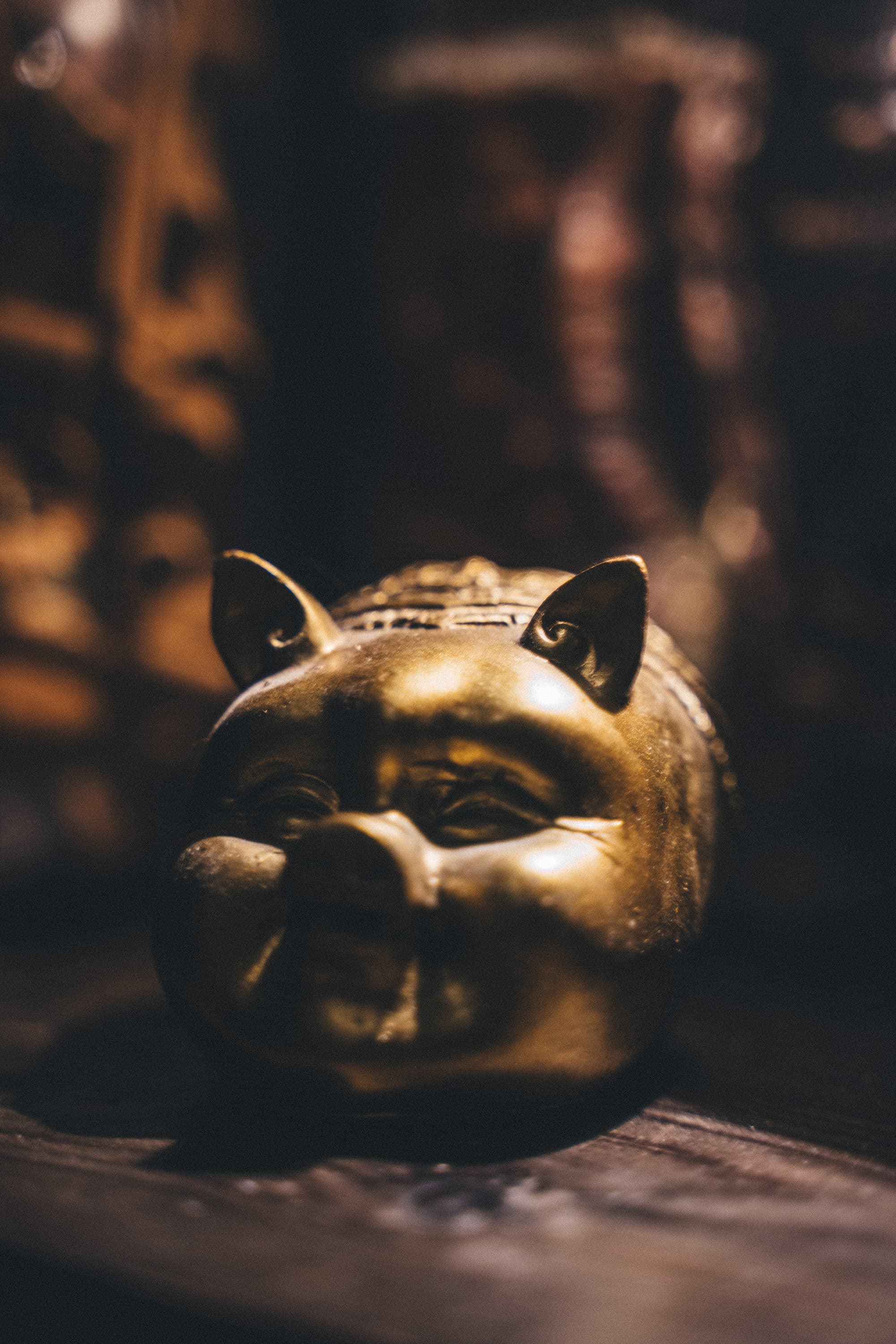 Night Pig — image 17