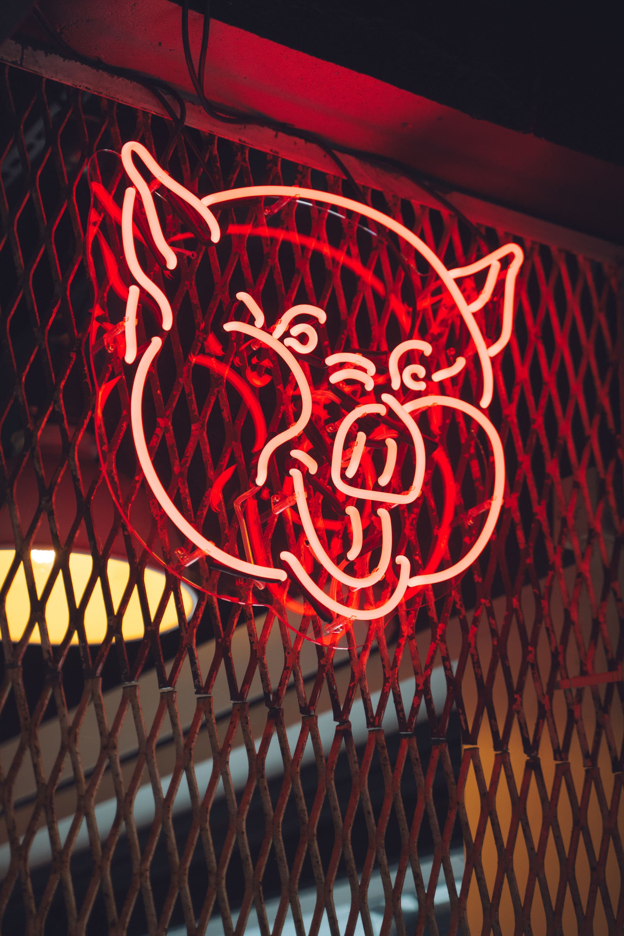 Way Down South 2.0 — image 11