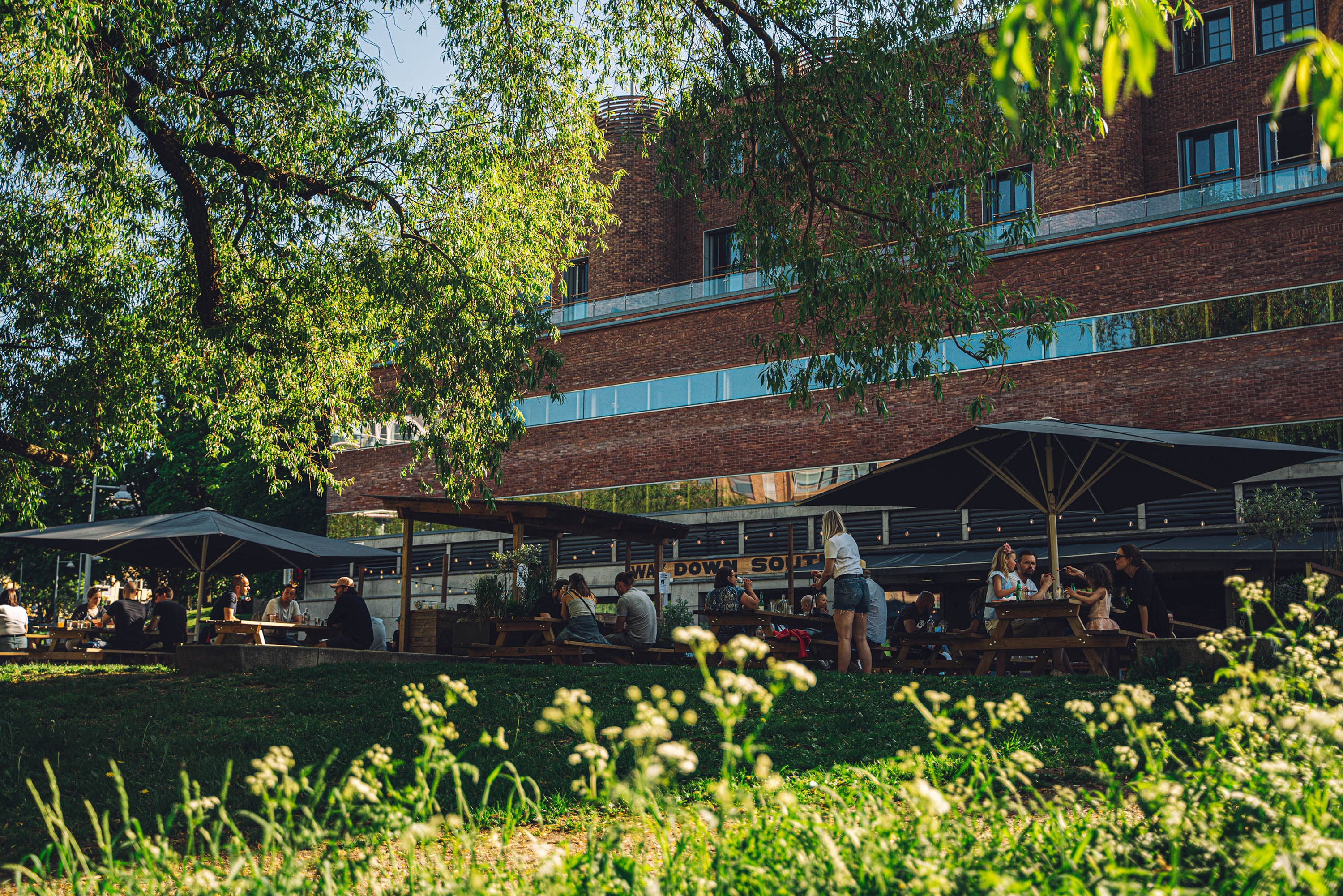 Way Down South 2.0 — image 16